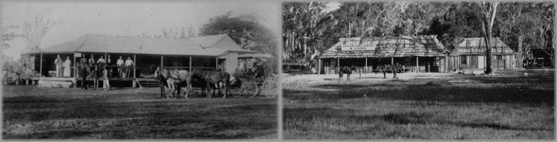 Bush Hotels: Eurie Creek Hotel, 1890; Sugarloaf Hotel, 1872. State Library of Queensland.