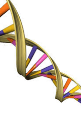 Which DNA test is right for you?