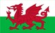Welsh  Special Interest Group