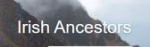 Irish Ancestors
