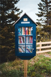 Book Club (1)